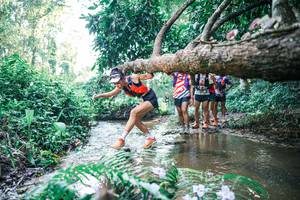 BIB: 
                            <button type="button" onclick="openModal(25444970)" class="btn btn-primary btn-sm float-right btn-popup" data-toggle="modal" data-target=".modal-high-quality">
                        <i class="fas fa-shopping-cart"></i> Add to Cart
                    </button>
                                            <button type="button" onclick="isThisMe(25444970, true)" class="btn btn-success btn-sm float-right btn-popup btn-isme hidden" data-toggle="tooltip" data-placement="bottom" title="นี่คือรูปของคุณใช่ไหม คลิกที่นี่เพื่อเอาเข้าอัลบั้ม">
                        <i class="fas fa-plus"></i> Add to album
                    </button>
                    <button type="button" onclick="isThisMe(25444970, false)" class="btn btn-warning btn-sm float-right btn-popup btn-isnotme hidden">
                        <i class="fas fa-ban"></i> Remove from album
                    </button>